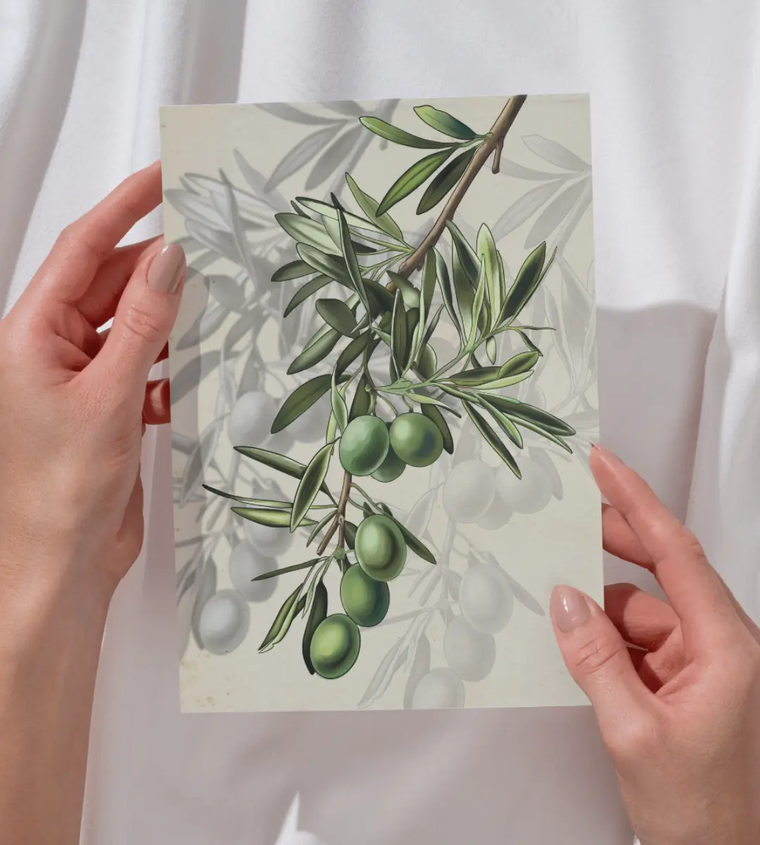 Lámina ilustrada Extremadura tierra de origen diseñada por Mijina con detalle ampliado de la ilustración principal y sus símbolos.